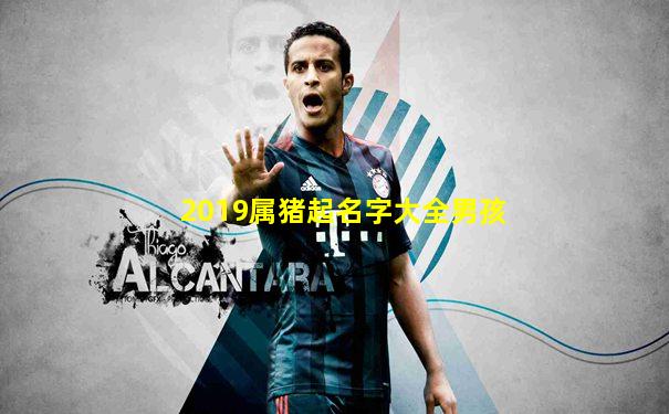 2019属猪起名字大全男孩