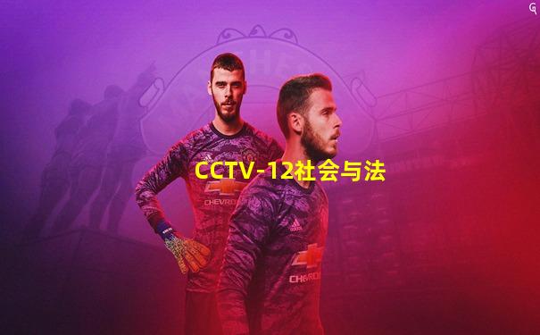 CCTV-12社会与法