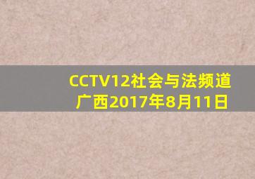 CCTV12社会与法频道广西2017年8月11日