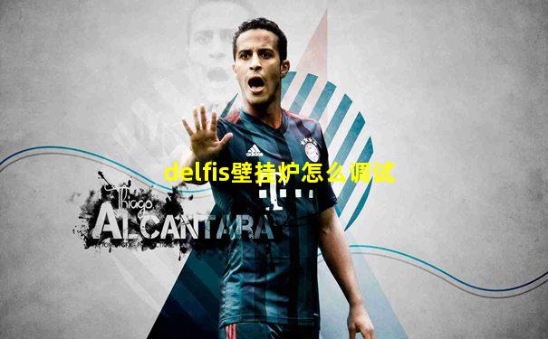 delfis壁挂炉怎么调试