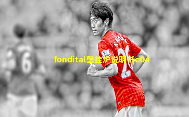 fondital壁挂炉说明书e04