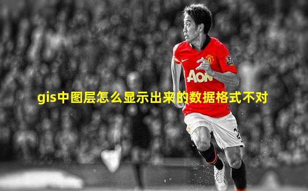 gis中图层怎么显示出来的数据格式不对