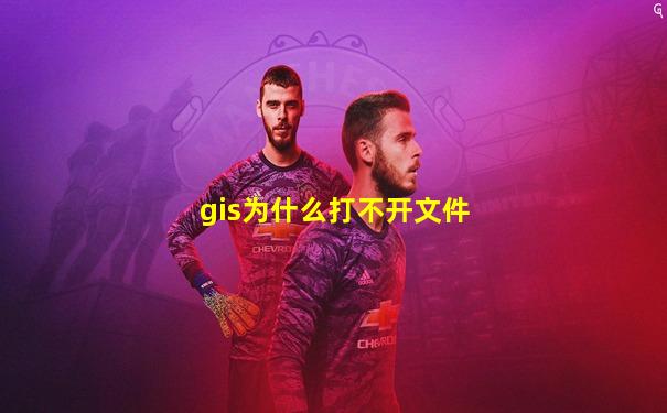 gis为什么打不开文件