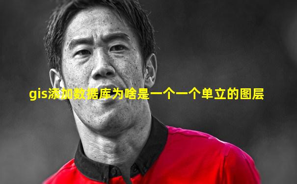 gis添加数据库为啥是一个一个单立的图层
