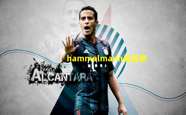 hammelmann高压泵