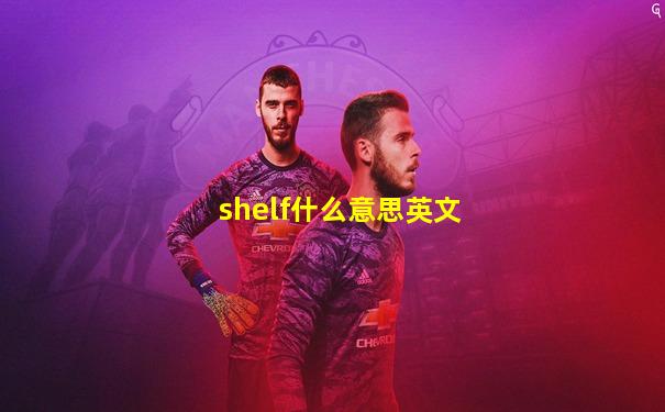 shelf什么意思英文