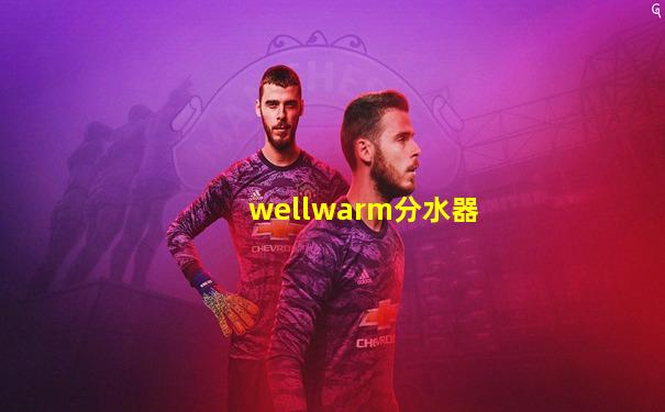 wellwarm分水器