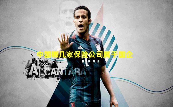 中国哪几家保险公司属于国企