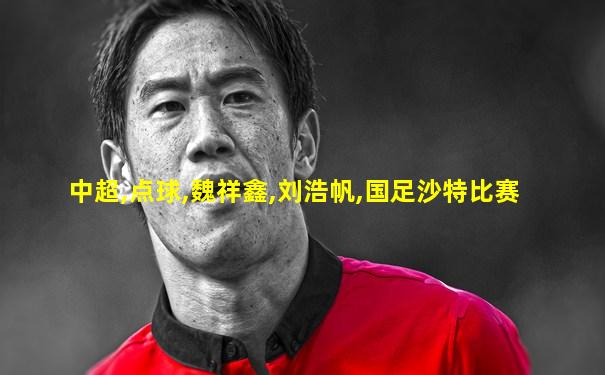 中超,点球,魏祥鑫,刘浩帆,国足沙特比赛