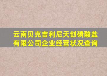 云南贝克吉利尼天创磷酸盐有限公司企业经营状况查询