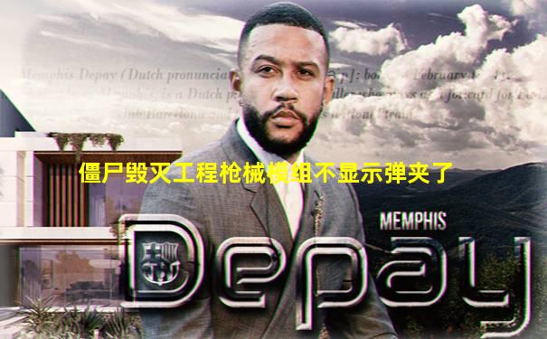 僵尸毁灭工程枪械模组不显示弹夹了