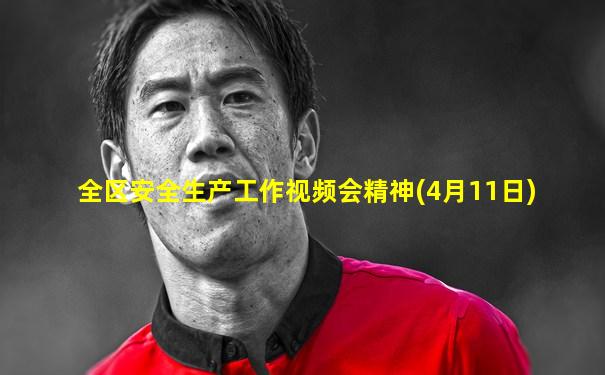 全区安全生产工作视频会精神(4月11日)