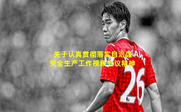 关于认真贯彻落实自治区安全生产工作视频会议精神