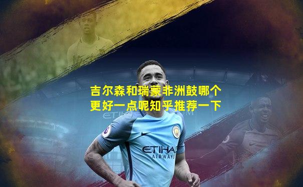 吉尔森和瑞蒙非洲鼓哪个更好一点呢知乎推荐一下