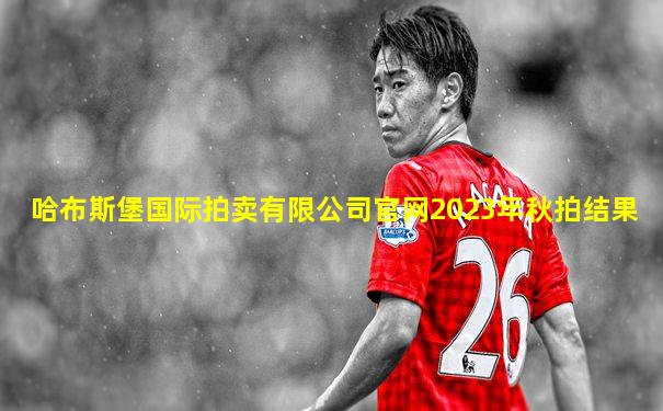 哈布斯堡国际拍卖有限公司官网2023年秋拍结果