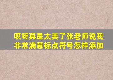 哎呀真是太美了张老师说我非常满意标点符号怎样添加