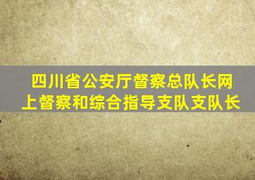 四川省公安厅督察总队长网上督察和综合指导支队支队长