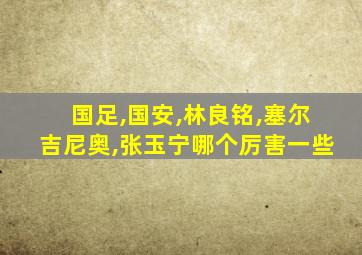 国足,国安,林良铭,塞尔吉尼奥,张玉宁哪个厉害一些