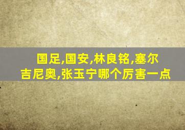 国足,国安,林良铭,塞尔吉尼奥,张玉宁哪个厉害一点