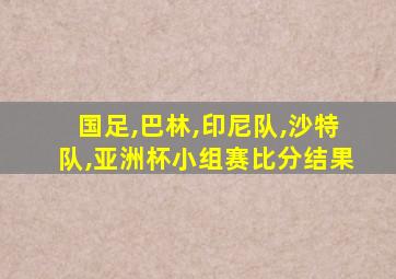 国足,巴林,印尼队,沙特队,亚洲杯小组赛比分结果