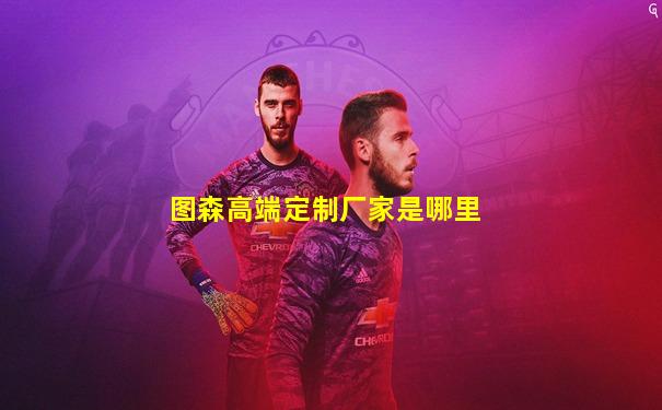 图森高端定制厂家是哪里