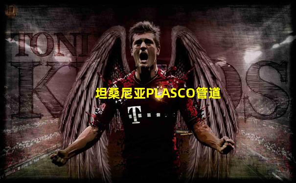 坦桑尼亚PLASCO管道