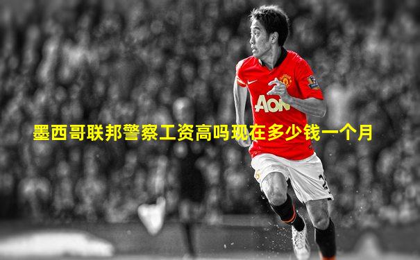 墨西哥联邦警察工资高吗现在多少钱一个月