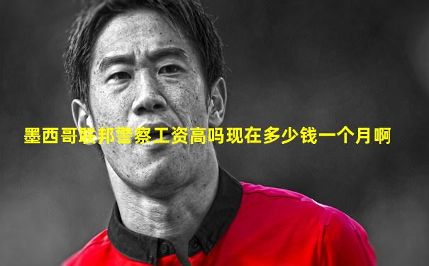 墨西哥联邦警察工资高吗现在多少钱一个月啊