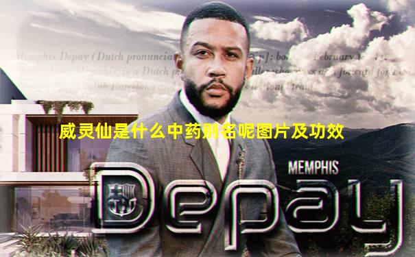 威灵仙是什么中药别名呢图片及功效