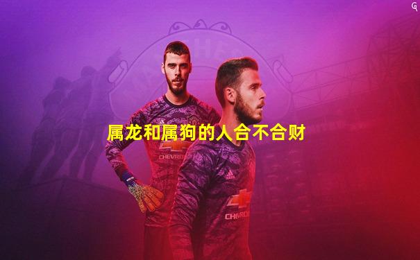 属龙和属狗的人合不合财