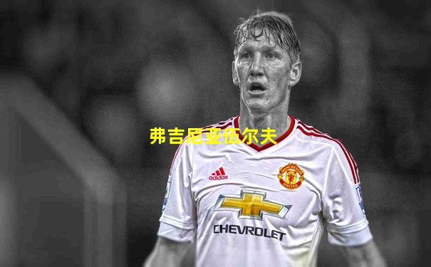 弗吉尼亚伍尔夫