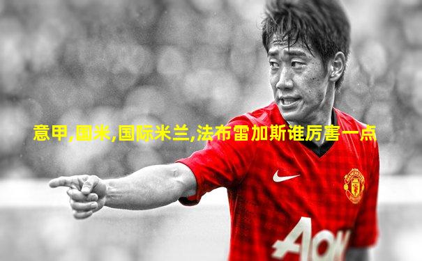 意甲,国米,国际米兰,法布雷加斯谁厉害一点