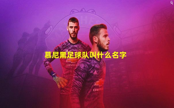 慕尼黑足球队叫什么名字