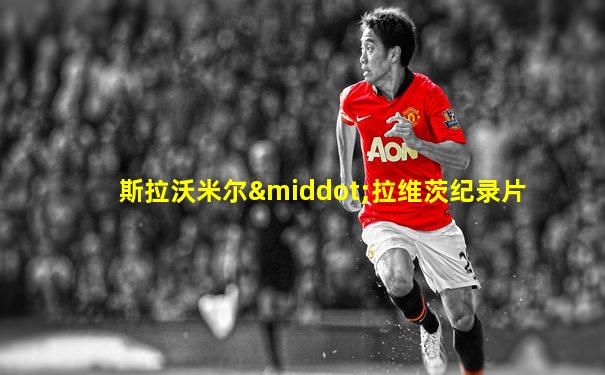 斯拉沃米尔·拉维茨纪录片