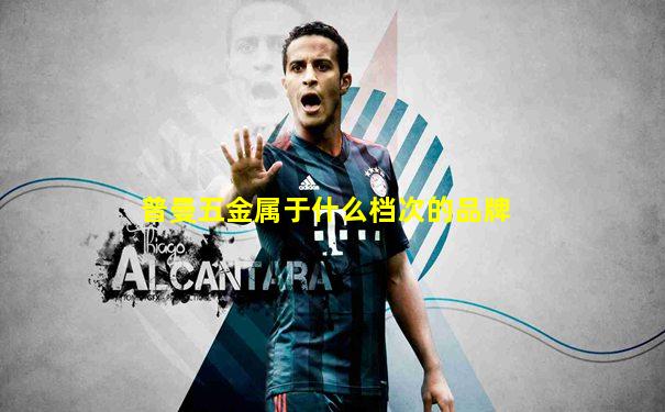 普曼五金属于什么档次的品牌