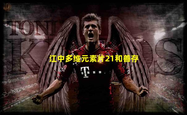 江中多维元素片21和善存