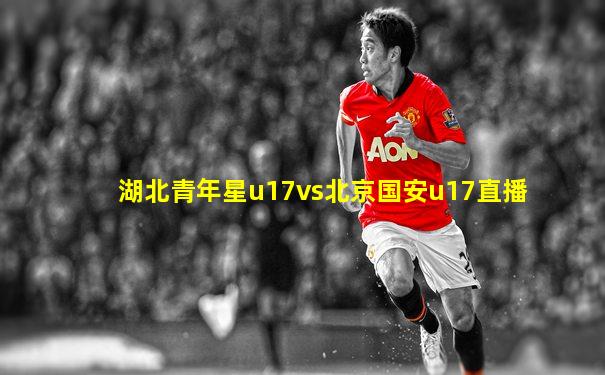 湖北青年星u17vs北京国安u17直播