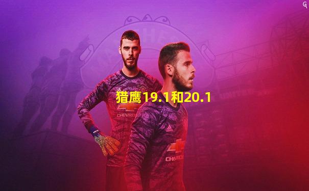 猎鹰19.1和20.1