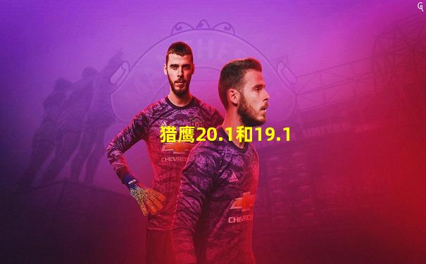 猎鹰20.1和19.1