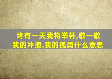 终有一天我将举杯,敬一敬我的冲撞,我的孤勇什么意思