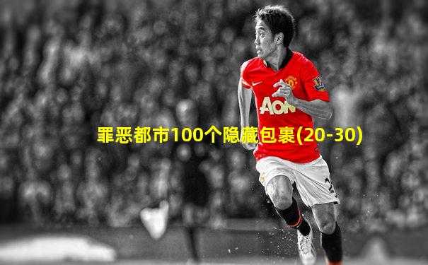 罪恶都市100个隐藏包裹(20-30)