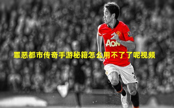 罪恶都市传奇手游秘籍怎么用不了了呢视频
