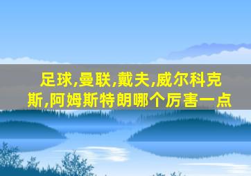 足球,曼联,戴夫,威尔科克斯,阿姆斯特朗哪个厉害一点