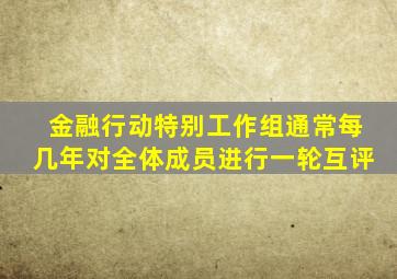 金融行动特别工作组通常每几年对全体成员进行一轮互评