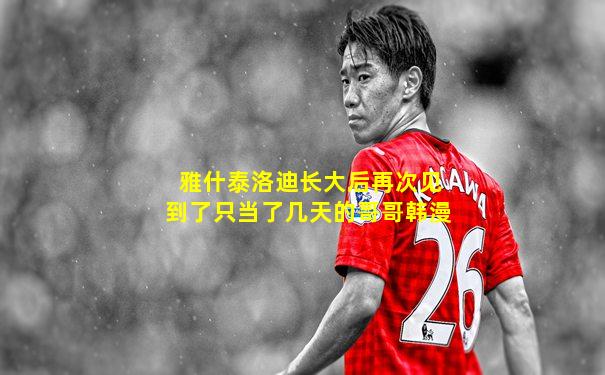 雅什泰洛迪长大后再次见到了只当了几天的哥哥韩漫