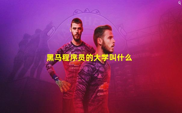 黑马程序员的大学叫什么